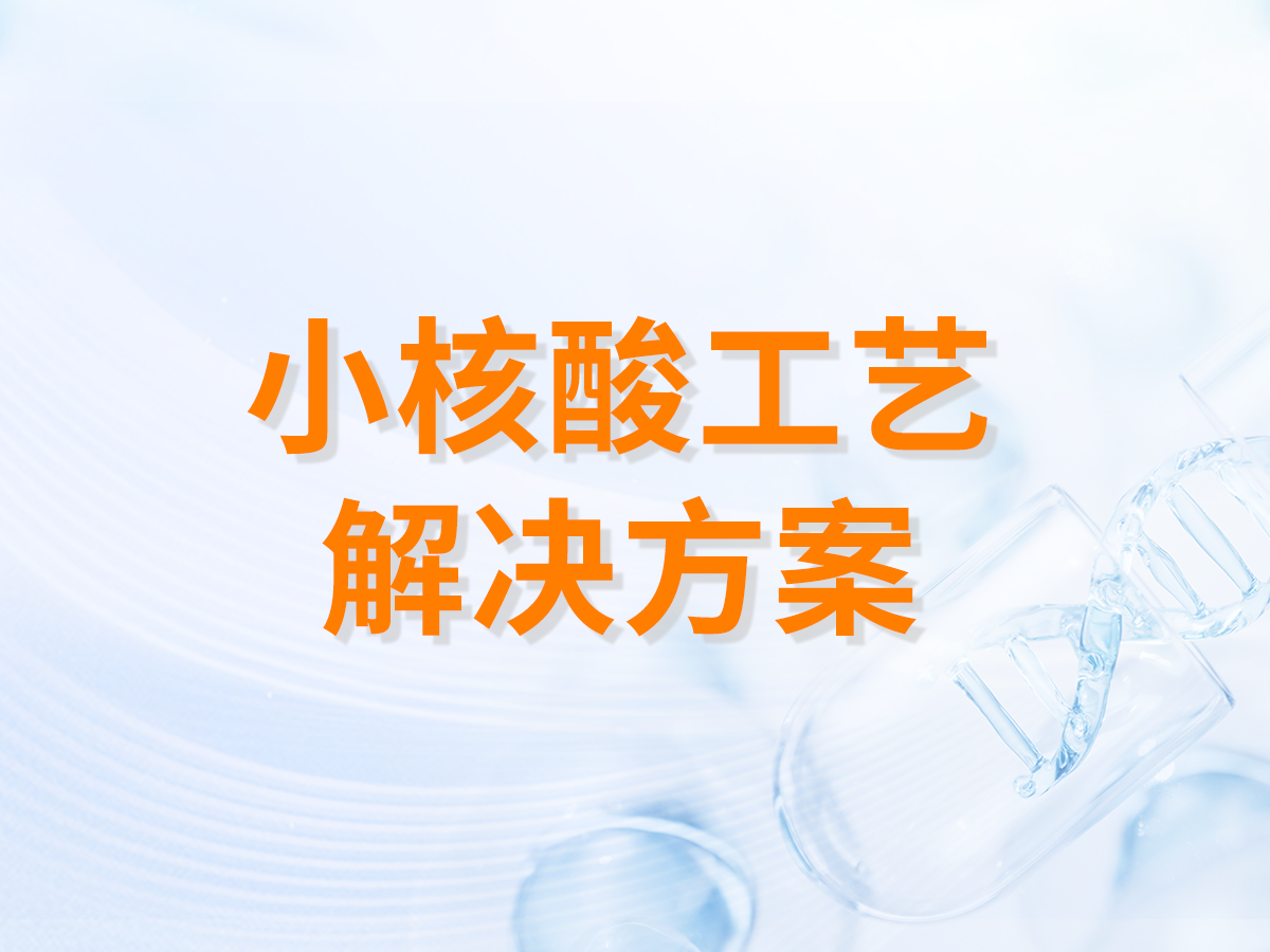 小核酸工艺解决方案